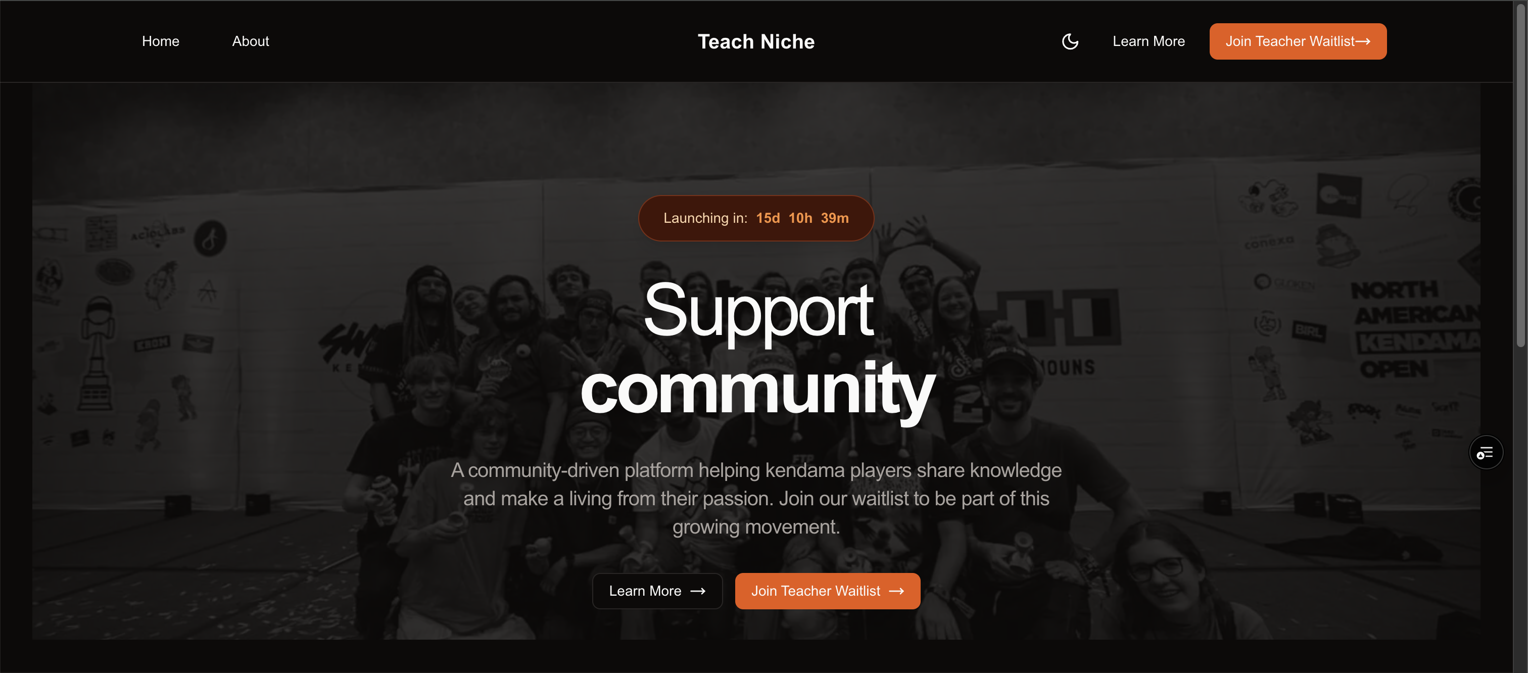 Teach Niche Website